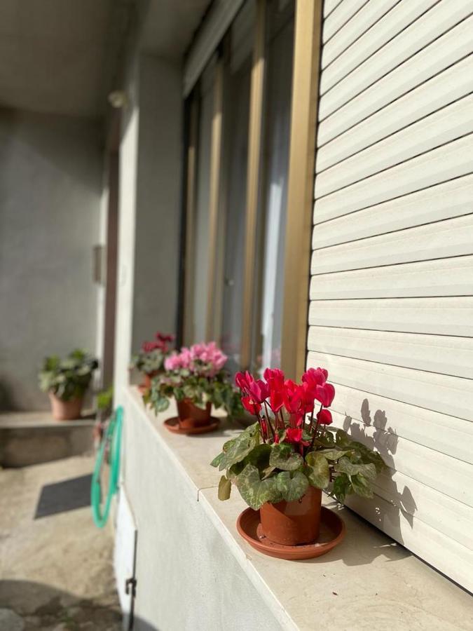 Ferienwohnung Domuspes Sedilo Exterior foto